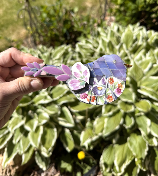 Purple and lavendar bird